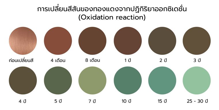 American Copper Buildings ออกแบบภายนอกและภายในอาคารให้กลมกลืนกัน ด้วยวัสดุทองแดง ภาพประกอบ
