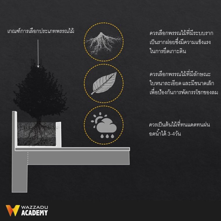 หลักการออกแบบสวนดาดฟ้า : การจัดเตรียมพื้นที่ดาดฟ้า การเลือกประเภทพรรณไม้ วัสดุตกแต่ง และข้อควรระวัง  ภาพประกอบ