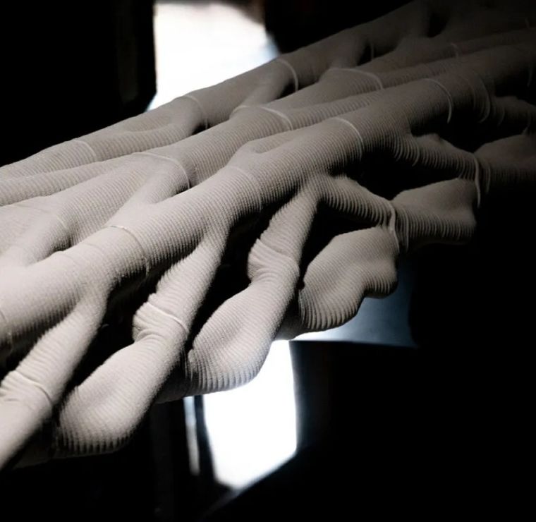 Inspire จากโครงสร้างกระดูก สู่การออกแบบสะพานคอนกรีตดูดซับคาร์บอน กับโครงการ Diamanti ที่จะก่อสร้างแห่งแรกในฝรั่งเศส ภาพประกอบ