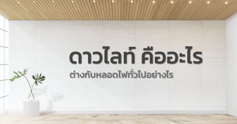 ดาวไลท์ คืออะไร ต่างกับหลอดไฟทั่วไปอย่างไร ภาพประกอบ