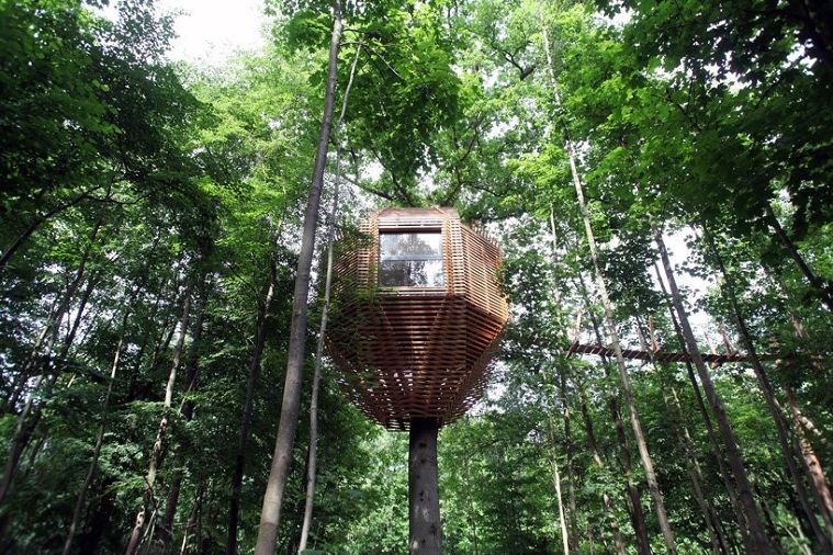 ขอบคุณภาพจาก designboom