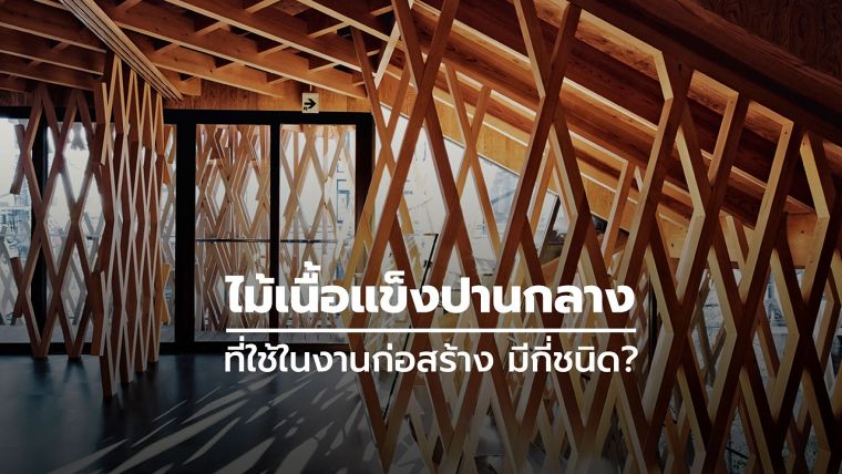 ไม้เนื้อแข็งปานกลาง ที่ใช้ในงานก่อสร้าง มีกี่ชนิด? ภาพประกอบ