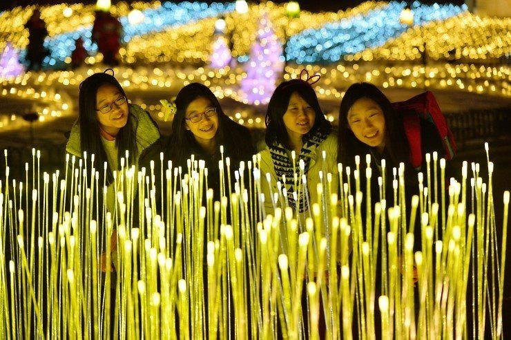 ไอเดียสวนแสงด้วยไฟ Reed Light by ONGA Artful Light  ภาพประกอบ