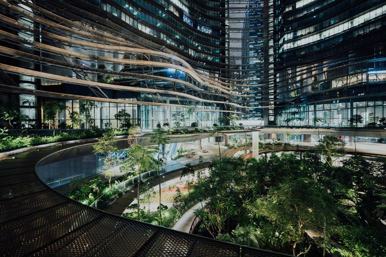 จากแนวคิด Rewilding สู่การออกแบบ Urban Rewilding ที่ฟื้นฟูธรรมชาติในพื้นที่เมือง ภาพประกอบ