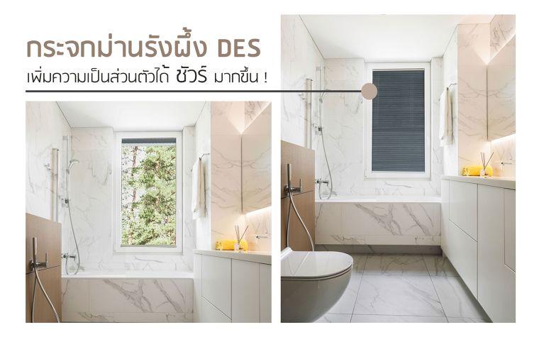 หน้าต่าง "กระจกม่านรังผึ้ง DES" เพิ่มความเป็นส่วนตัวได้ชัวร์มากขึ้น  ภาพประกอบ