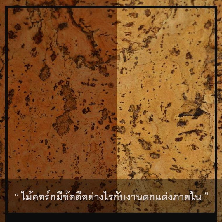 " Interior Design 4.0 Seminar " วัสดุศาสตร์น่ารู้ ไม้คอร์กกับสุนทรียภาพในงานออกแบบตกแต่งภายใน ภาพประกอบ
