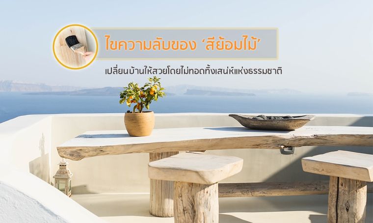ไขความลับของสีย้อมไม้ ไอเท็มดีๆ ที่จะเปลี่ยนบ้านให้สวย โดยไม่ทอดทิ้งเสน่ห์แห่งธรรมชาติ ภาพประกอบ