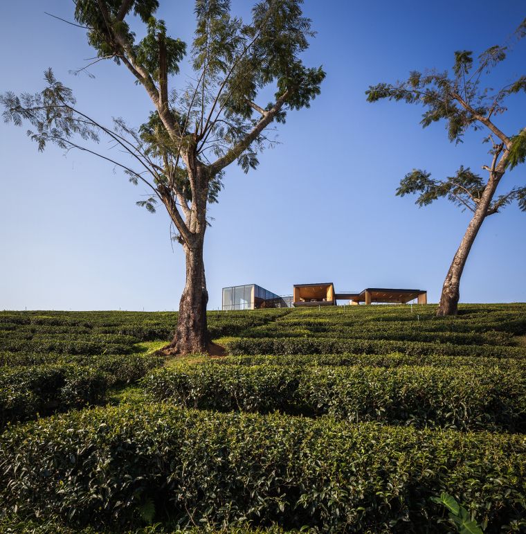 "คาเฟ่ชา ฉุยฟง"  ผลงานออกแบบจากสถาปนิกไทย ที่คว้ารางวัลระดับโลก The Architizer A+Awards ภาพประกอบ