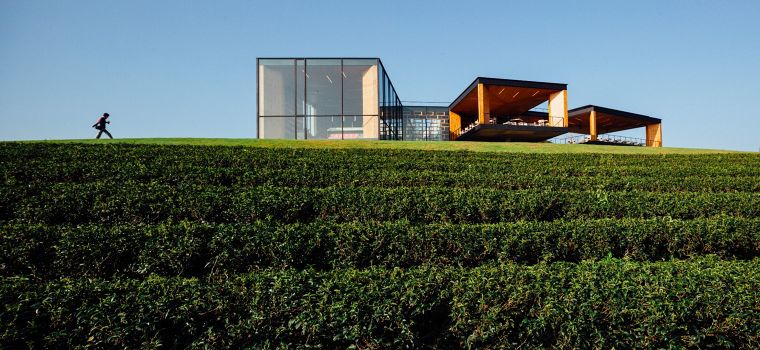 "คาเฟ่ชา ฉุยฟง"  ผลงานออกแบบจากสถาปนิกไทย ที่คว้ารางวัลระดับโลก The Architizer A+Awards ภาพประกอบ
