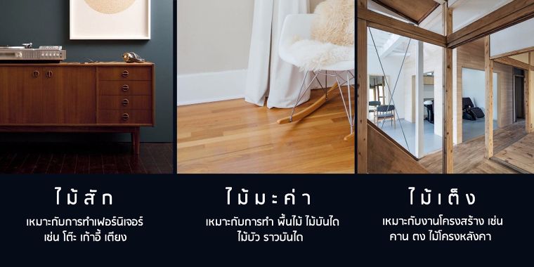 เปรียบเทียบให้เห็นชัดๆ ! ข้อแตกต่างของไม้ 3 ชนิด ที่ถูกนิยมนำมาใช้ในงานตกแต่ง ภาพประกอบ
