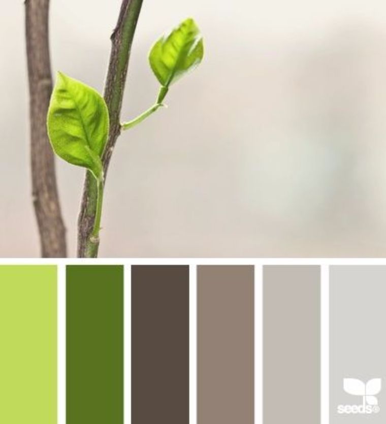 &nbsp;27. ภาพประกอบโดย design seeds