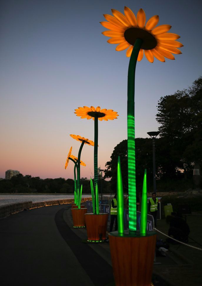 Project : The Sunflowersดอกทานตะวันขนาดใหญ่ 12 ต้น ด้วยความสูงถึง 4.5 เมตร&nbsp;