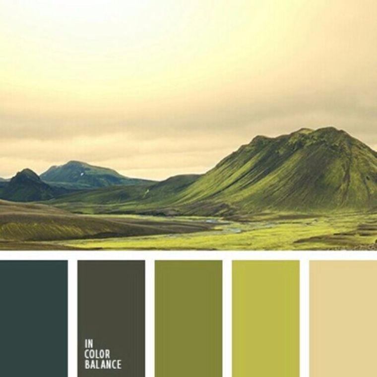 &nbsp;24. ภาพประกอบโดย In Color Balance