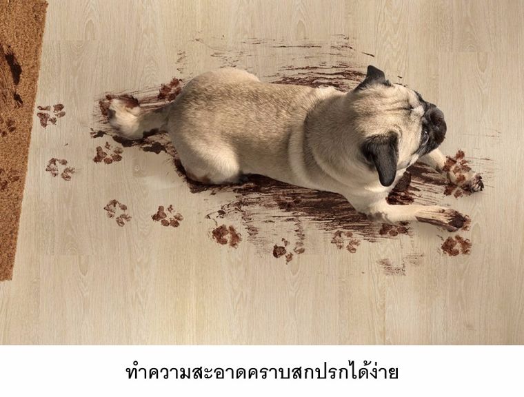 พื้นไม้คอร์ก"HydroCork Flooring"นวัตกรรมวัสดุที่มีคุณสมบัติพิเศษในการป้องกันน้ำ และคราบสกปรก  ภาพประกอบ