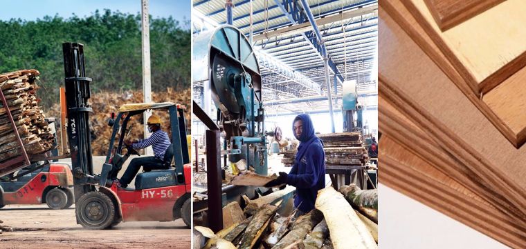วัสดุเเนะนำ : ไม้อัด (Plywood) กับคุณสมบัติที่น่ารู้ก่อนจะนำเอาไปใช้งาน ภาพประกอบ