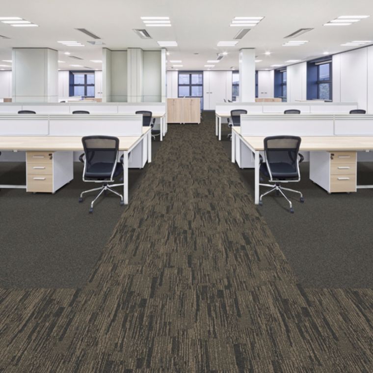 Mesa and Flatlands colors coordinate to facilitate wayfinding and creative floor installations.