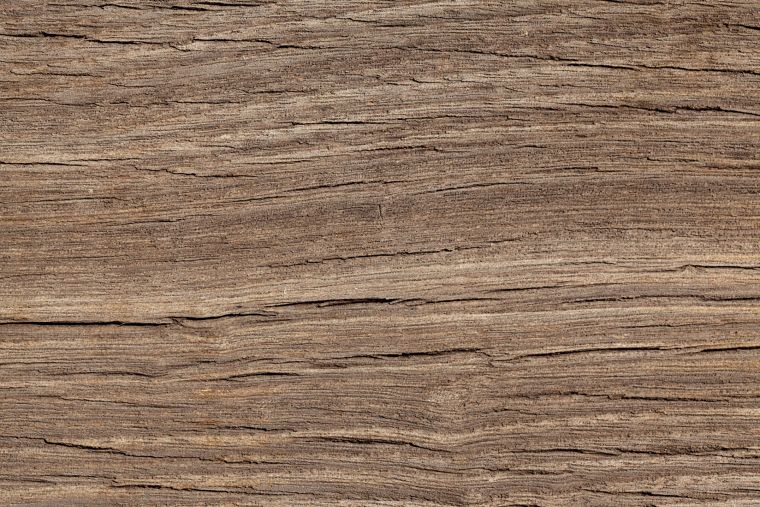 &nbsp;8. คลิ๊ก http://www.publicdomainpictures.net/hledej.php?hleda=wood+texture