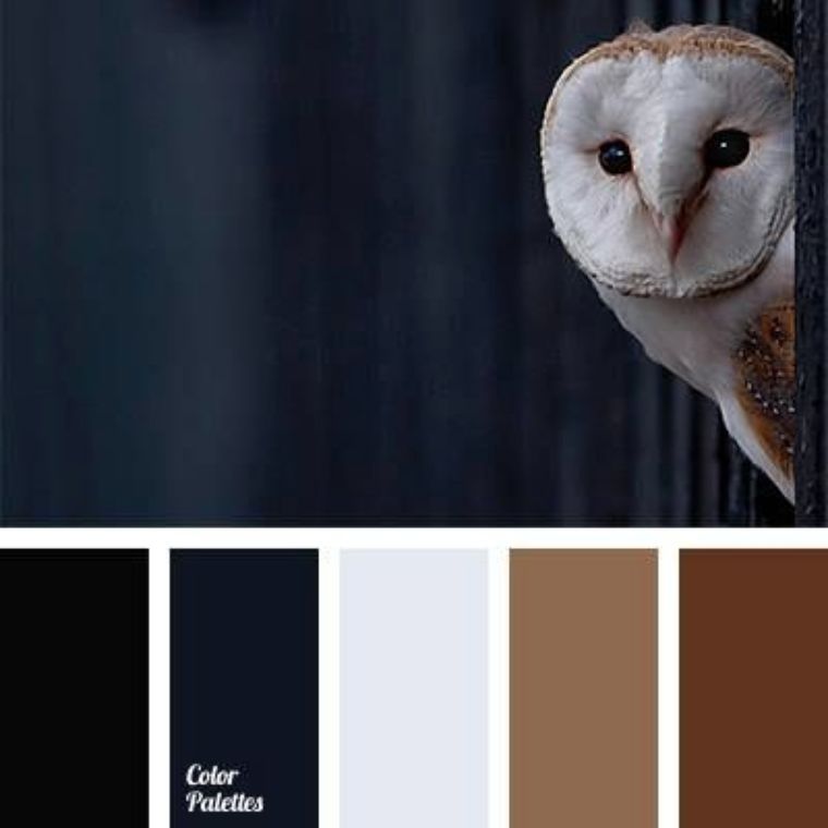 &nbsp;17. รูปภาพประกอบโดย colorpalettes.net