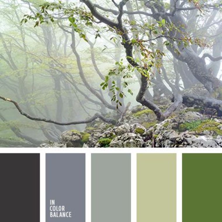 &nbsp;11. ภาพประกอบโดย In Color Balance