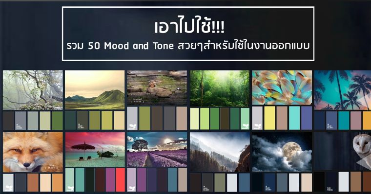 เอาไปใช้!!! รวม "50" Mood and Tone สวยๆสำหรับใช้ในงานออกแบบ ภาพประกอบ