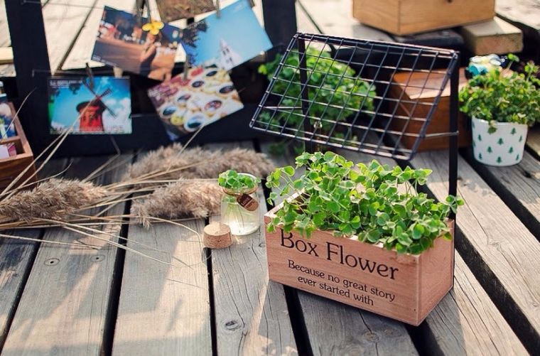 "Box Flower"ของตกแต่งสุดชิค ที่จะทำให้บ้านดูมีชีวิตชีวามากขึ้น : สินค้าแนะนำจากแบรนด์ QubbyDecor ภาพประกอบ