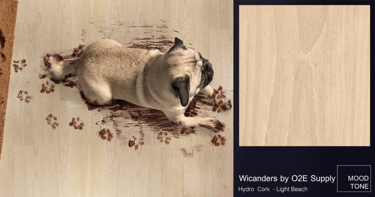 "HydroCork Flooring : Light Beach" พื้นไม้คอร์กที่สามารถทำความสะอาดคราบสกปรกได้ง่าย ภาพประกอบ