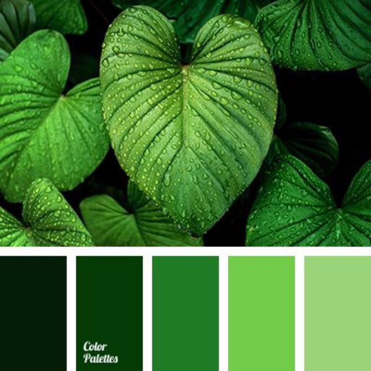 &nbsp;18. รูปภาพประกอบโดย colorpalettes.net