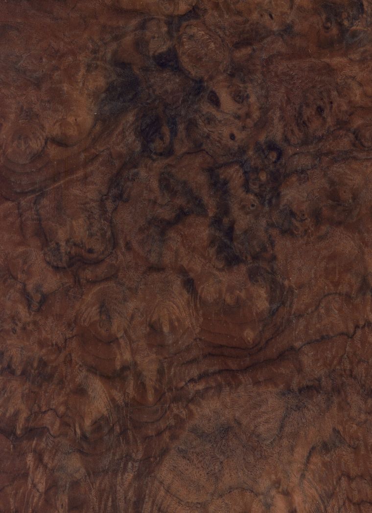 เปลี่ยนมุมดินเนอร์ให้ดูอบอุ่นกับสีไม้วีเนียร์ Walnut Burls สุดเข้ม ภาพประกอบ