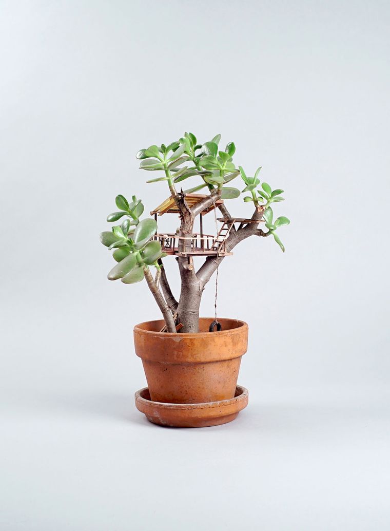 "บ้านจิ๋วบนต้นไม้" ผลงาน Handcraft สุดสร้างสรรค์ของศิลปินผู้ถ่ายทอดเรื่องราววัยเด็ก !! ภาพประกอบ
