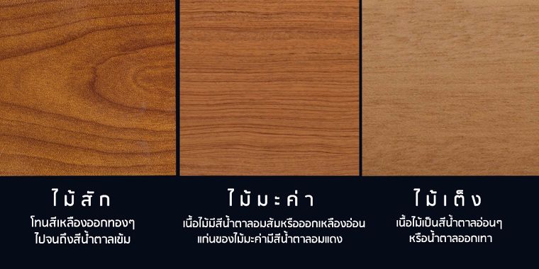 เปรียบเทียบให้เห็นชัดๆ ! ข้อแตกต่างของไม้ 3 ชนิด ที่ถูกนิยมนำมาใช้ในงานตกแต่ง ภาพประกอบ