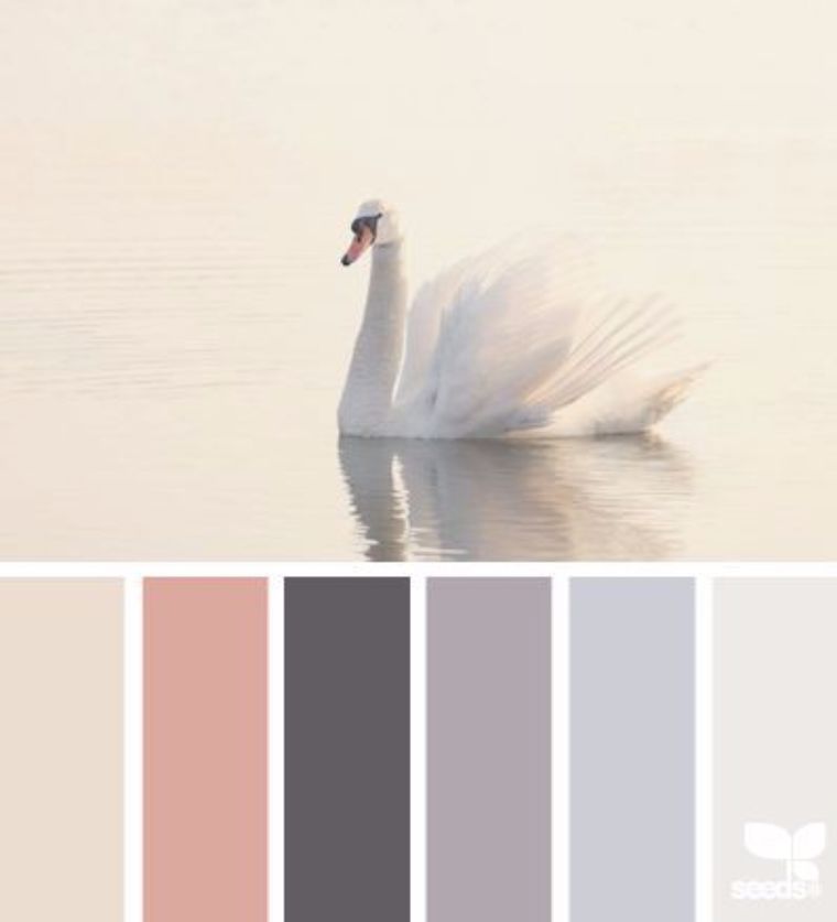 &nbsp;44. ภาพประกอบโดย In Color Balance